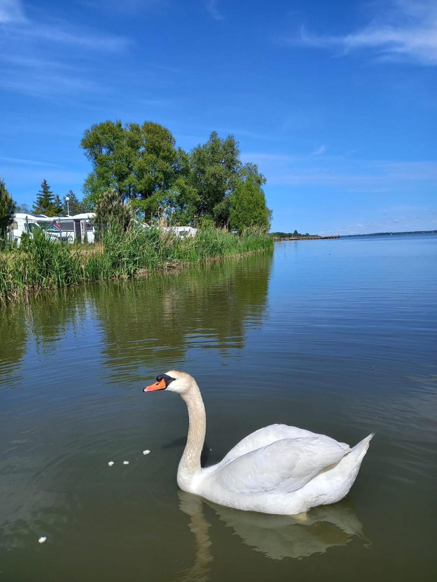 Houseboat Arka 1 - Domki Na Wodzie, Rower Wodny, Wifi, Parking Mielno  Exterior photo